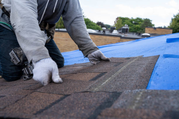 Best Roof Leak Repair  in North St Paul, MN