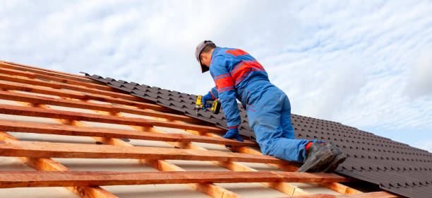 Best Solar Panel Roofing Installation  in North St Paul, MN